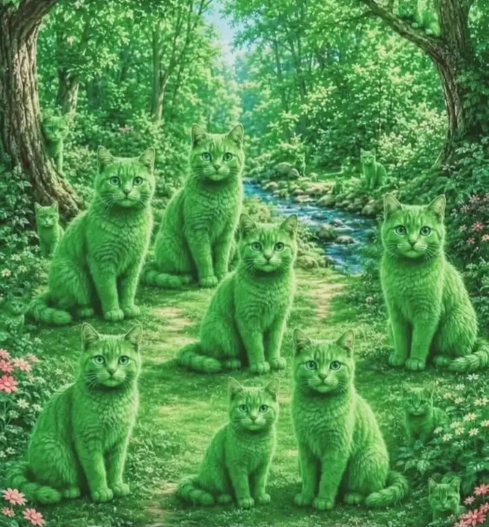 fhfhfhf